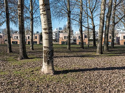  Speeltuin Naussauhavenpark